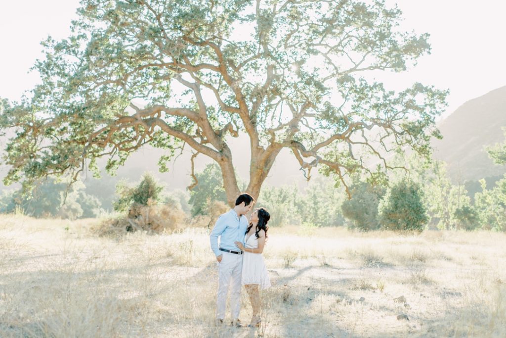 Malibu Creek State Park Engagement Session