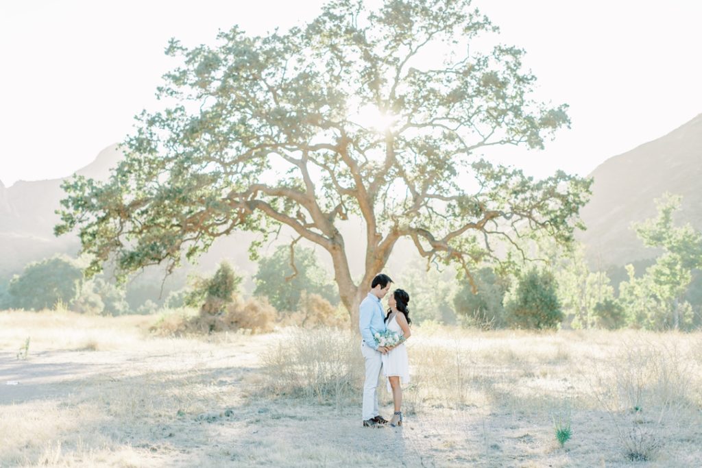 Malibu Creek State Park Engagement Session