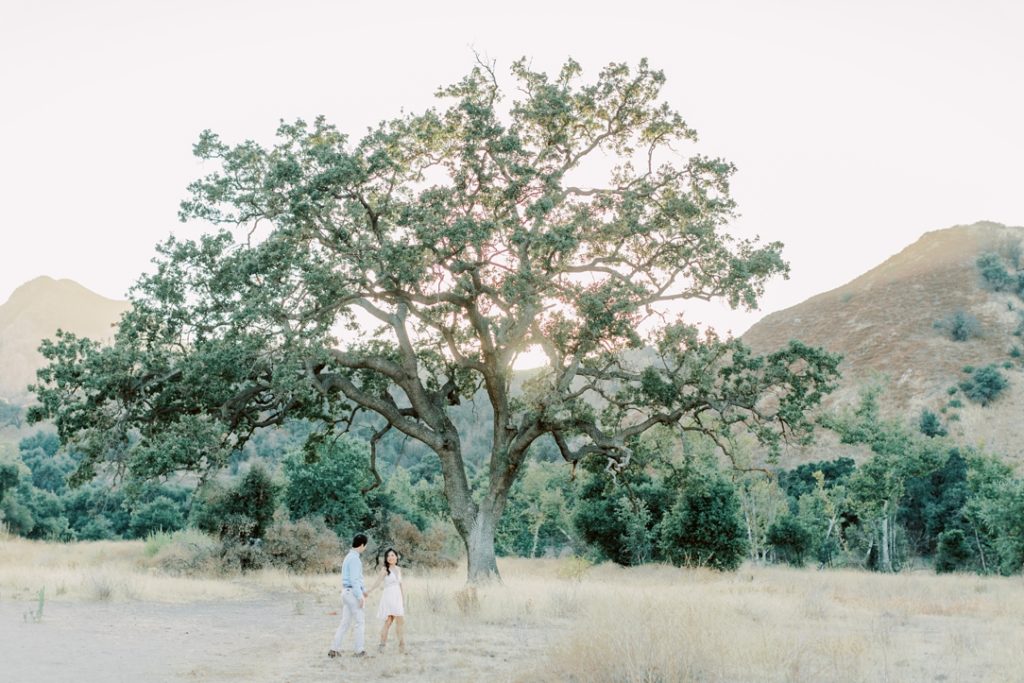 Malibu Creek State Park Engagement Session